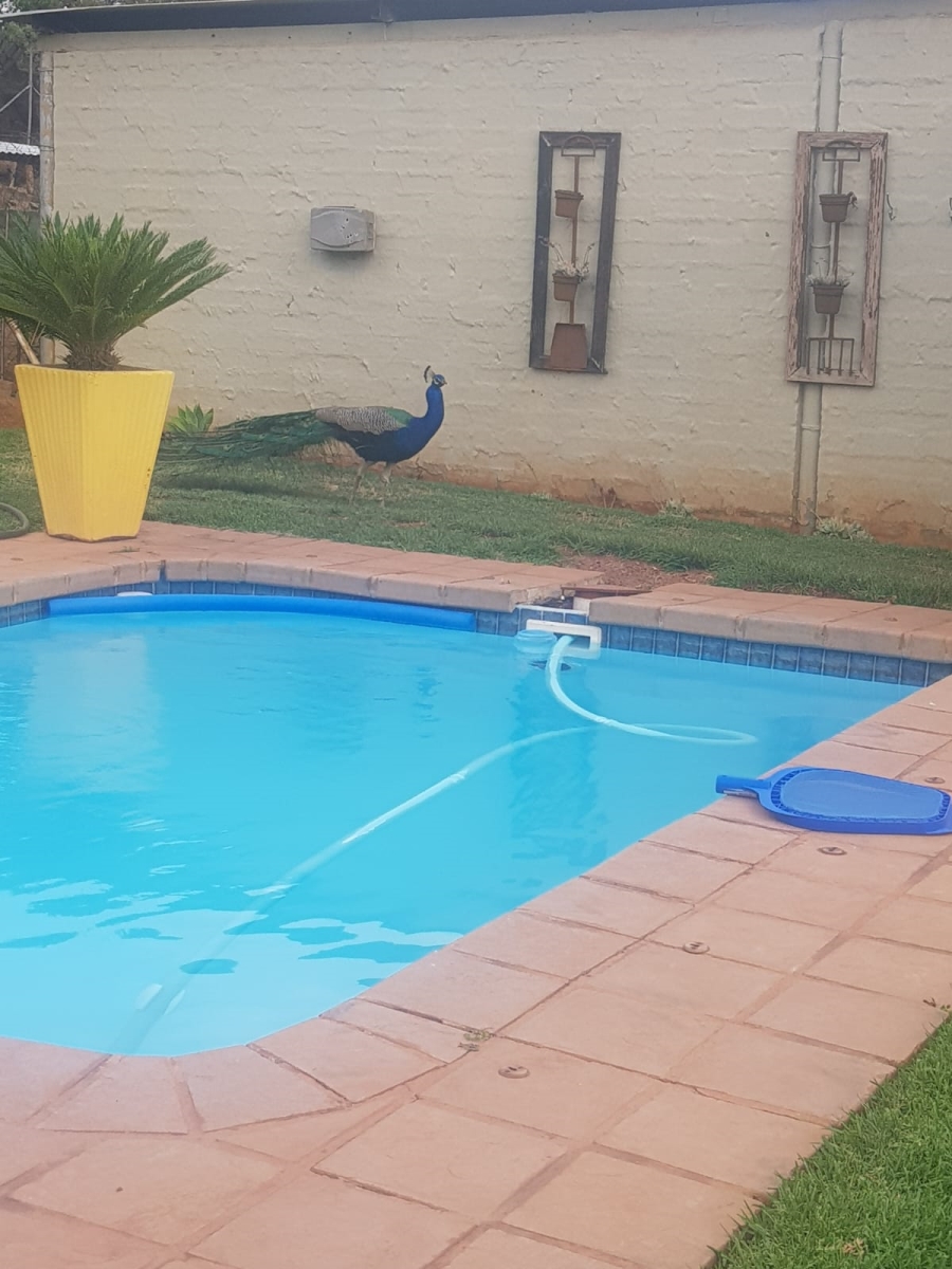 8 Bedroom Property for Sale in Waagfontein North West